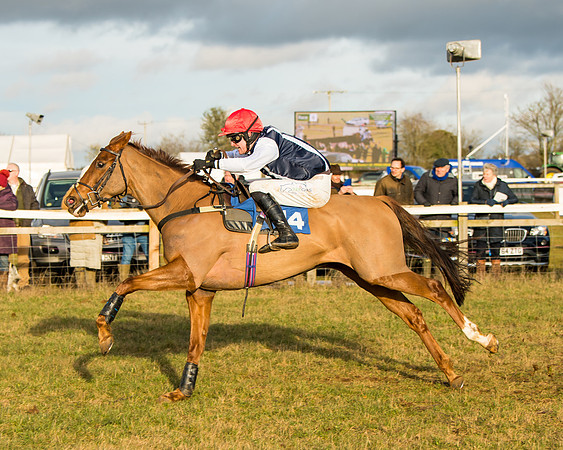 Race 6 - 4,5,6 Maiden  (28 of 50)
