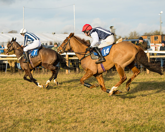 Race 6 - 4,5,6 Maiden  (29 of 50)