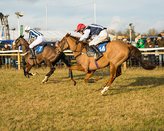Race 6 - 4,5,6 Maiden  (30 of 50)