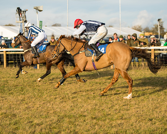 Race 6 - 4,5,6 Maiden  (31 of 50)