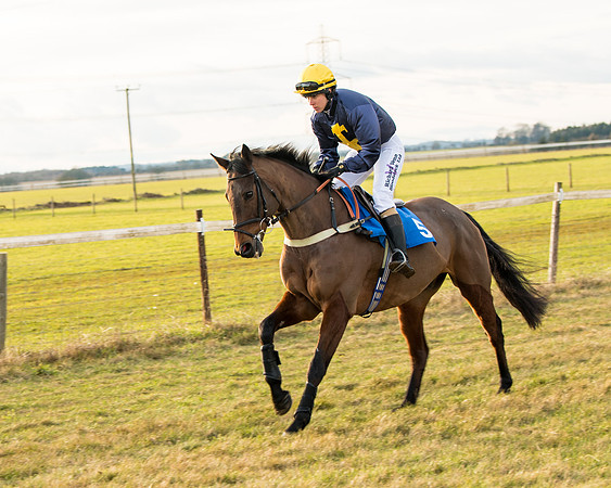 Race 7 - Open Maiden  (1 of 86)