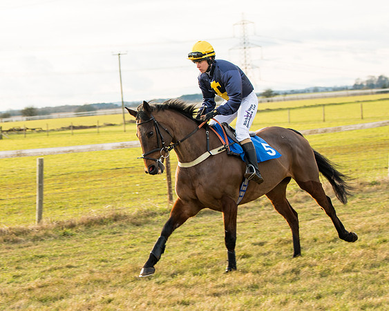 Race 7 - Open Maiden  (2 of 86)