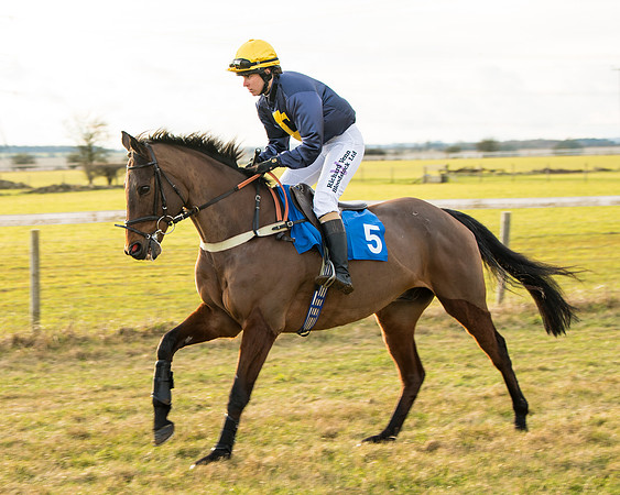 Race 7 - Open Maiden  (3 of 86)