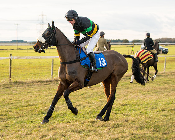 Race 7 - Open Maiden  (5 of 86)