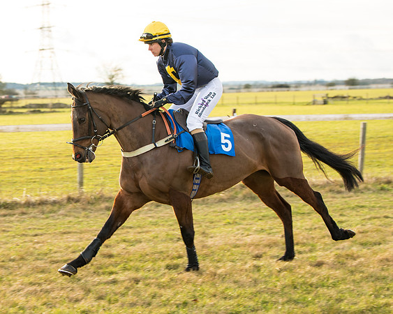 Race 7 - Open Maiden  (4 of 86)
