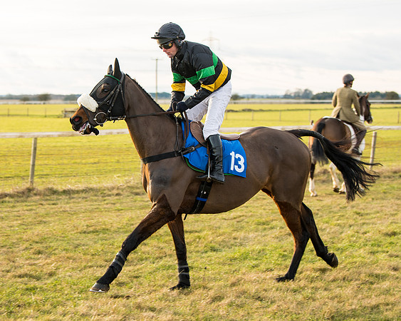 Race 7 - Open Maiden  (7 of 86)