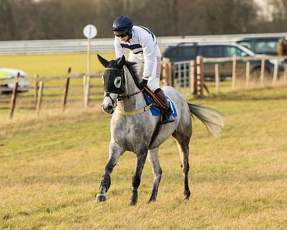 Race 7 - Open Maiden  (8 of 86)