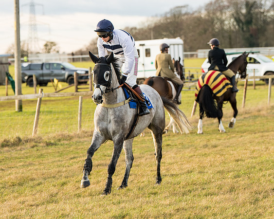 Race 7 - Open Maiden  (10 of 86)