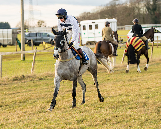 Race 7 - Open Maiden  (11 of 86)