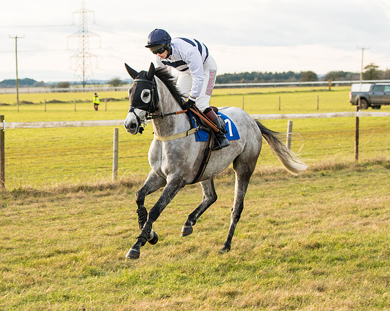 Race 7 - Open Maiden  (12 of 86)