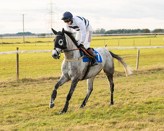 Race 7 - Open Maiden  (13 of 86)