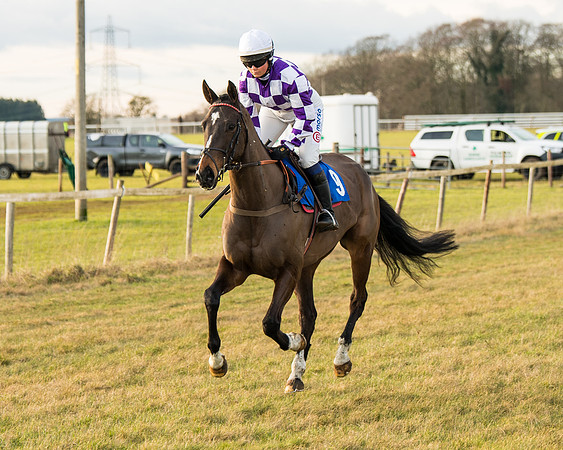 Race 7 - Open Maiden  (14 of 86)