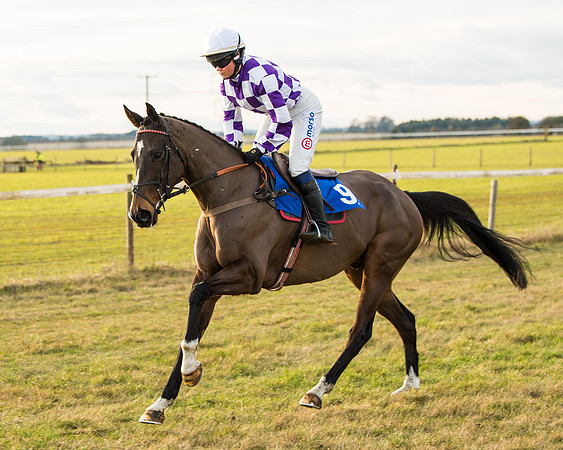 Race 7 - Open Maiden  (15 of 86)