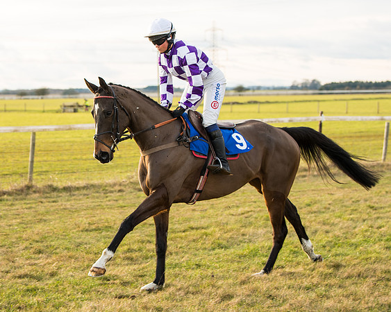 Race 7 - Open Maiden  (16 of 86)