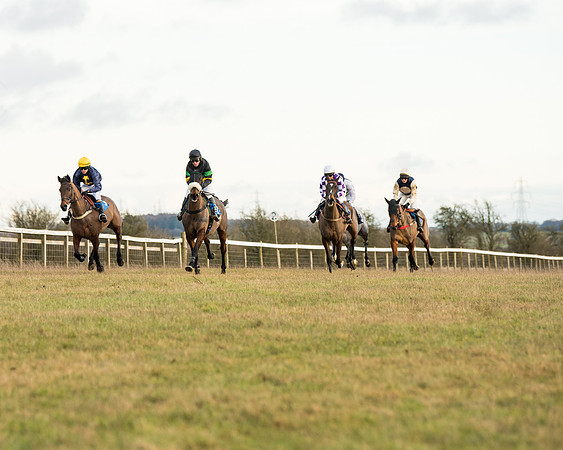 Race 7 - Open Maiden  (24 of 86)