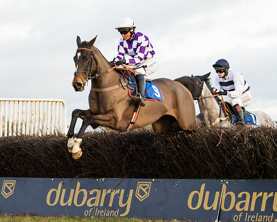 Race 7 - Open Maiden  (29 of 86)