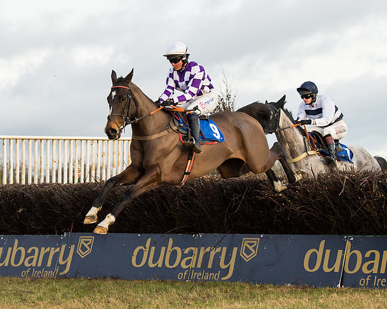 Race 7 - Open Maiden  (30 of 86)