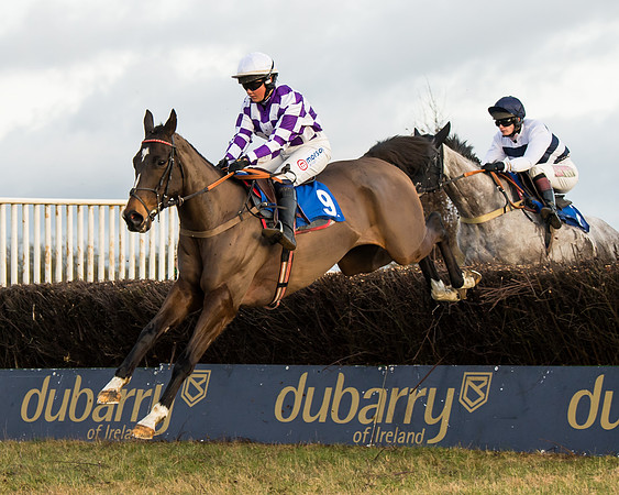 Race 7 - Open Maiden  (31 of 86)