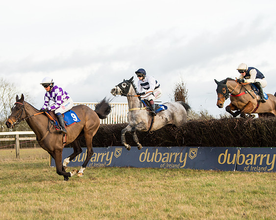 Race 7 - Open Maiden  (33 of 86)