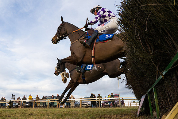 Race 7 - Open Maiden  (36 of 86)