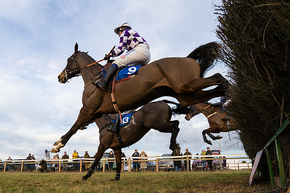 Race 7 - Open Maiden  (37 of 86)