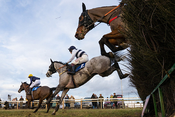 Race 7 - Open Maiden  (39 of 86)