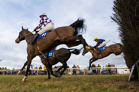 Race 7 - Open Maiden  (38 of 86)