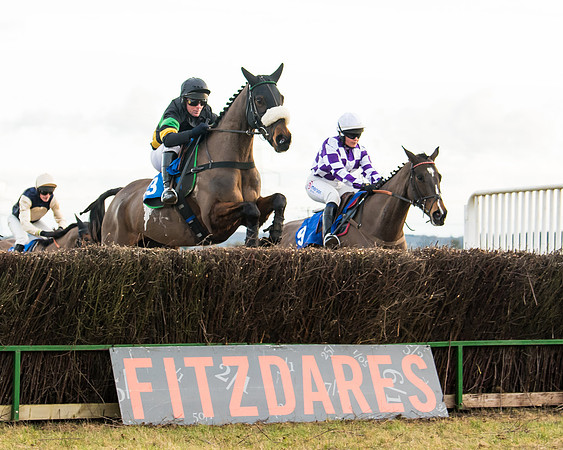 Race 7 - Open Maiden  (40 of 86)