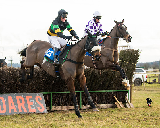 Race 7 - Open Maiden  (45 of 86)