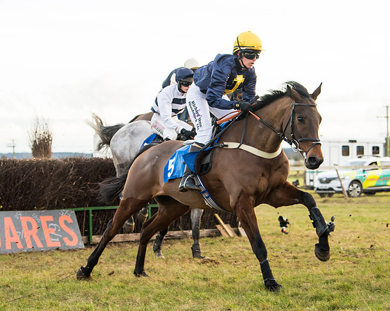 Race 7 - Open Maiden  (49 of 86)