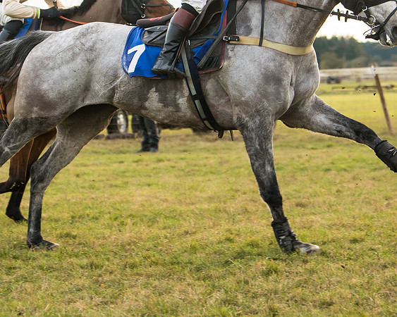 Race 7 - Open Maiden  (50 of 86)