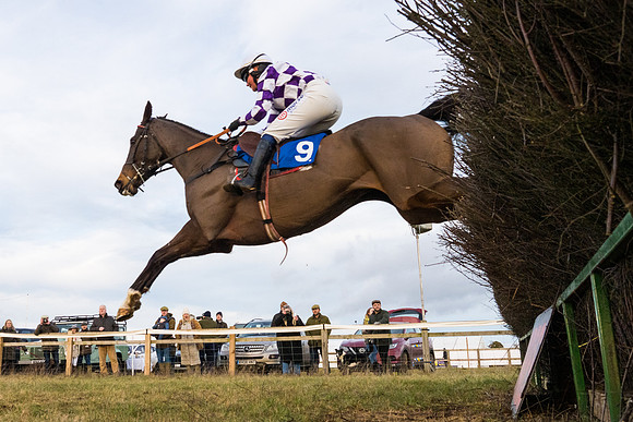 Race 7 - Open Maiden  (51 of 86)