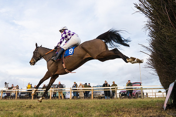Race 7 - Open Maiden  (52 of 86)