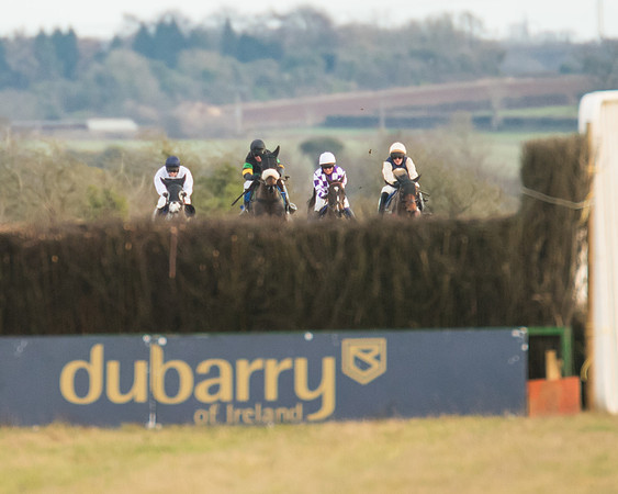 Race 7 - Open Maiden  (53 of 86)