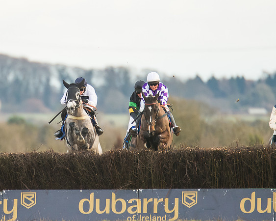 Race 7 - Open Maiden  (55 of 86)