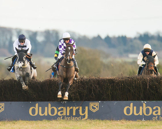 Race 7 - Open Maiden  (57 of 86)