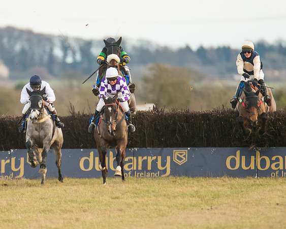 Race 7 - Open Maiden  (60 of 86)