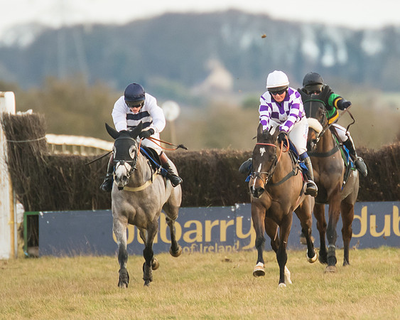 Race 7 - Open Maiden  (62 of 86)