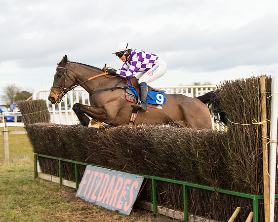 Race 7 - Open Maiden  (65 of 86)