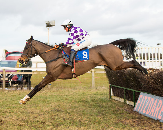 Race 7 - Open Maiden  (68 of 86)