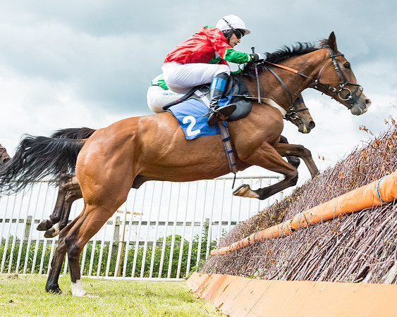 Race 2 - PPORA Novice Riders  (106 of 187)