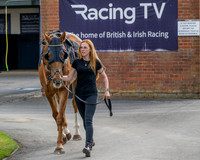 Race 1 - Connolly's Red Mills (2 of 86)