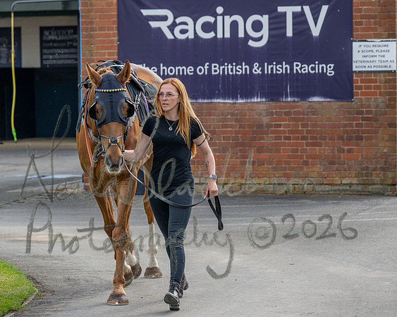 Race 1 - Connolly's Red Mills (2 of 86)