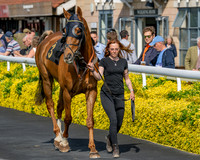 Race 1 - Connolly's Red Mills (5 of 86)
