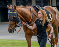 Race 1 - Connolly's Red Mills (3 of 86)