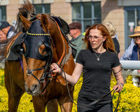 Race 1 - Connolly's Red Mills (6 of 86)