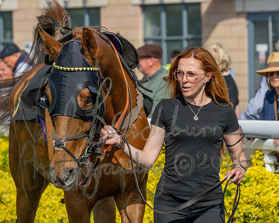 Race 1 - Connolly's Red Mills (6 of 86)
