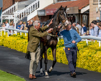 Race 1 - Connolly's Red Mills (8 of 86)