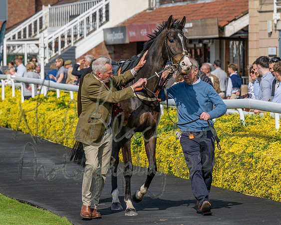 Race 1 - Connolly's Red Mills (8 of 86)