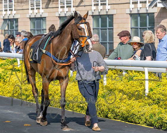 Race 1 - Connolly's Red Mills (11 of 86)